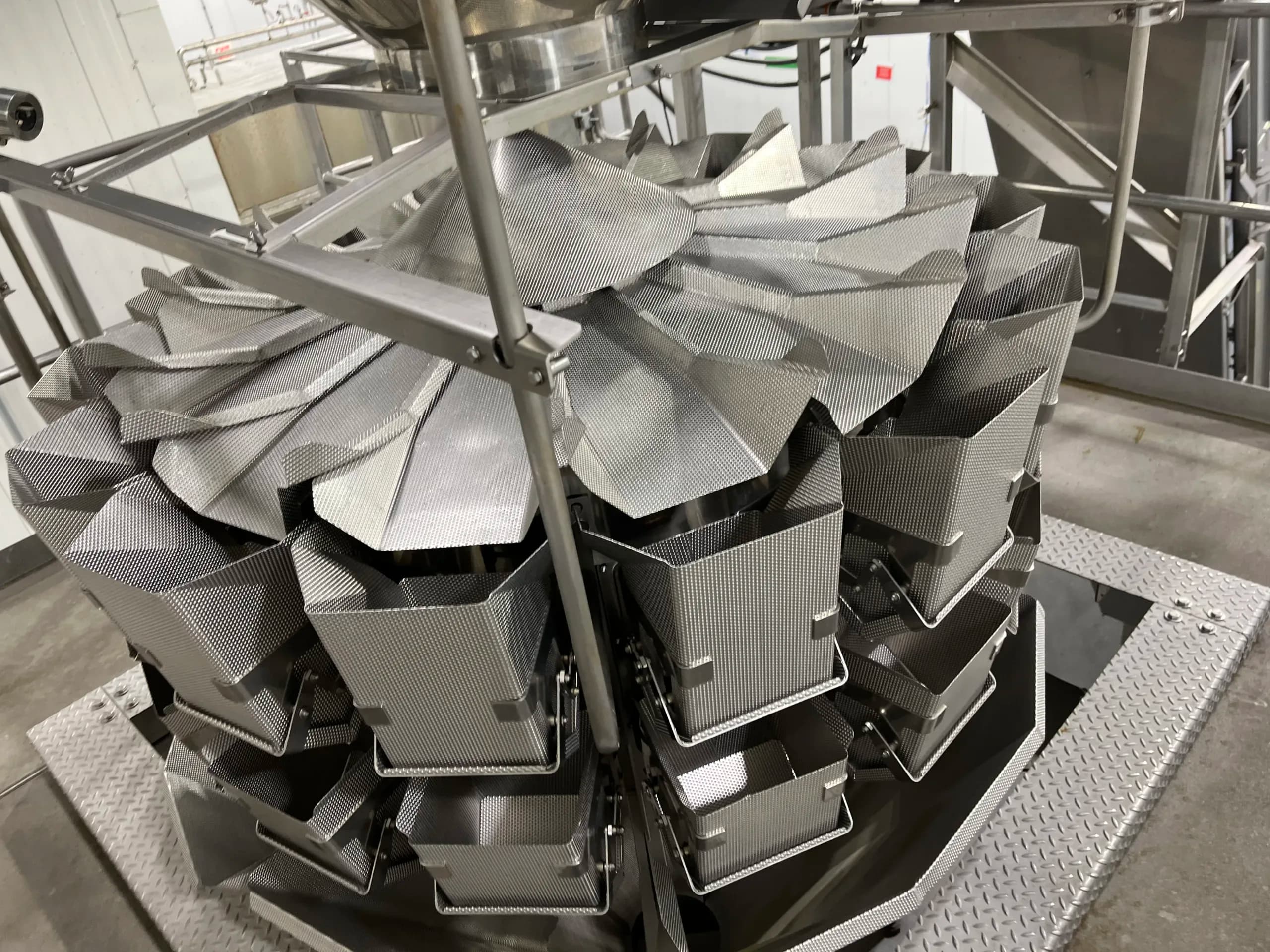 Ishida Scale with Multi-Hopper Design for Food Processing