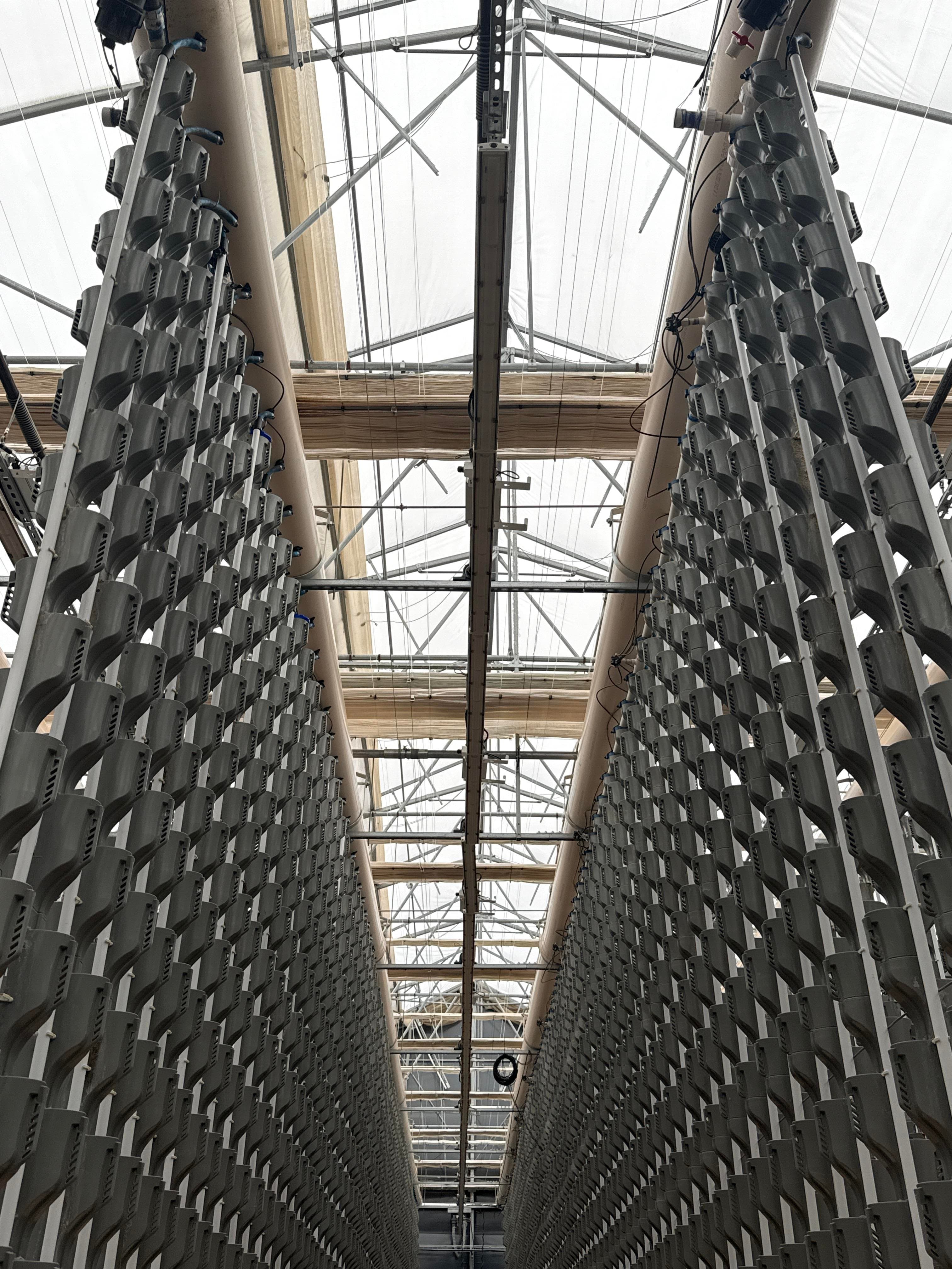 560 GE Arize ML900 LED Grow Light Systems North Wall 1,120 Bars 560 Drivers