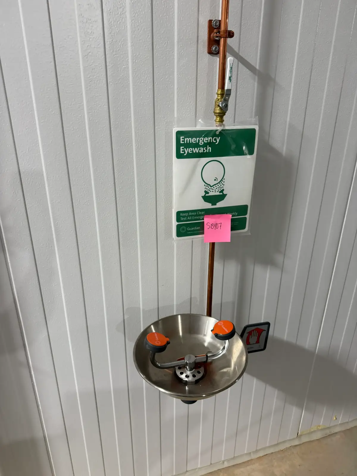 Wall-Mounted Emergency Eyewash Station with Stainless Bowl