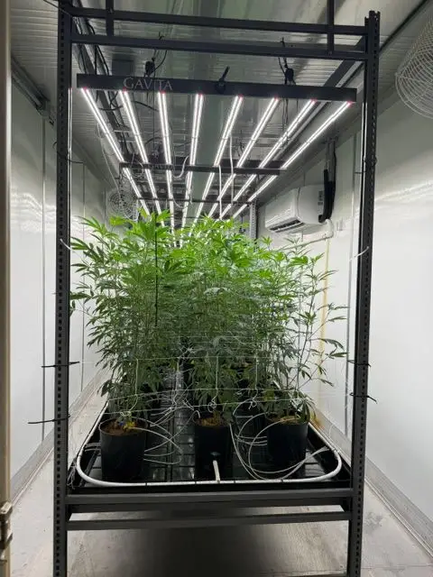 40' Modular Container Grow Pod: Turnkey, Gavita LED, 6-Ton Mini-Split A/C, Quest Dehumidifier, iPonic 614 Controls (Used)