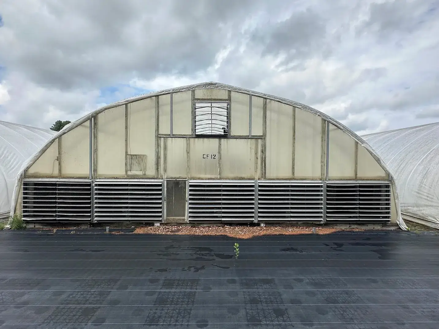 WHITE'S AUCTION LOT 27 - CF12 - X.S. Smith 30' x 96' Criterion Quonset Hoop Cold Frame Greenhouse