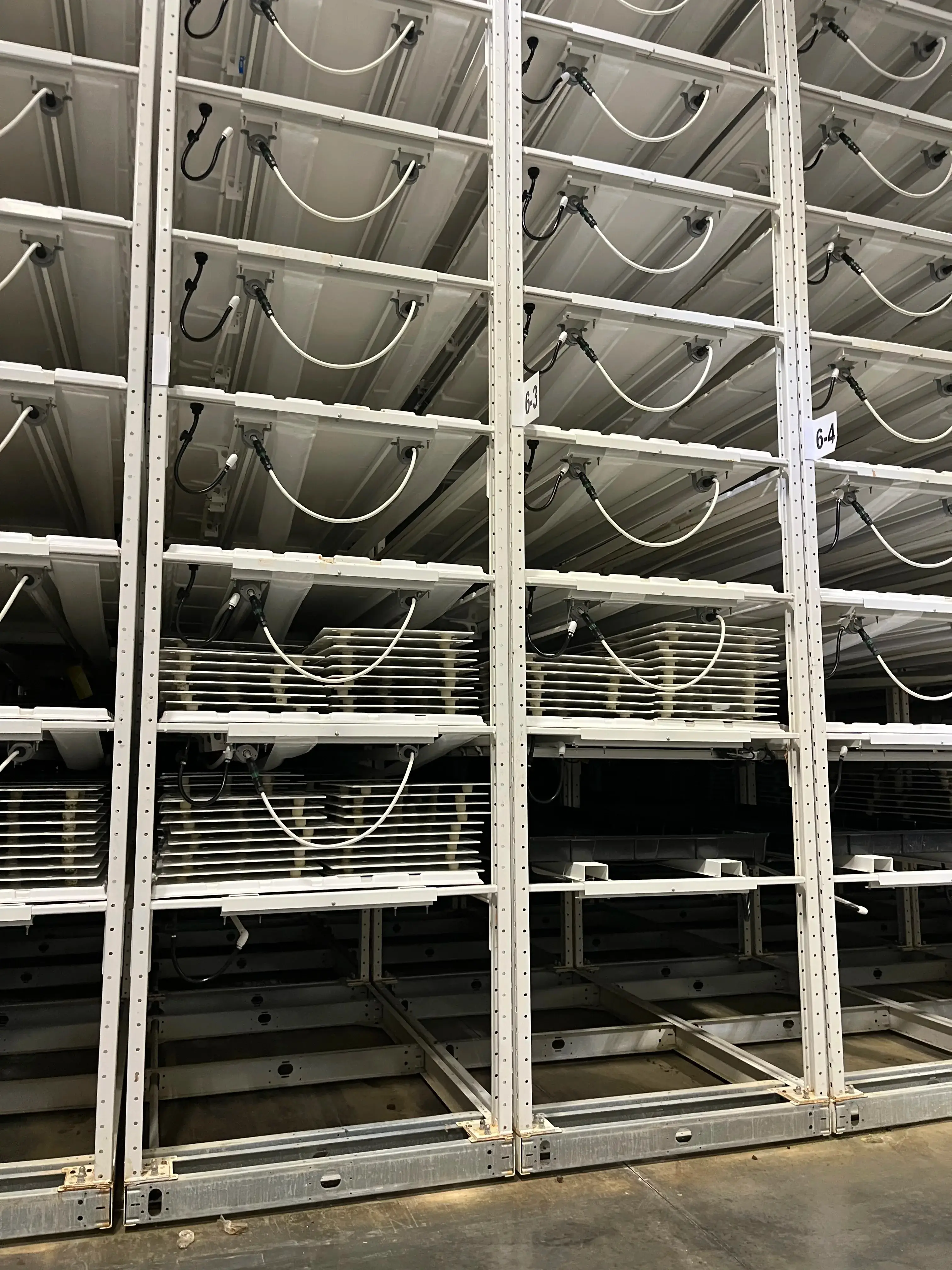 Auction Lot: Advanced Indoor Vertical Farming Facility with Montel Racking and Philips LED Lighting