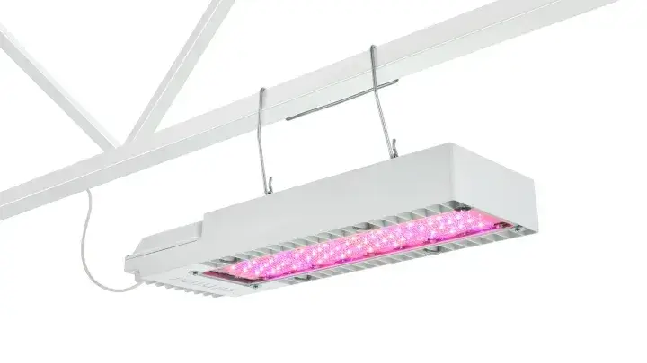 Philips GreenPower LED toplighting compact DR/W MB (800 pc. LOT)