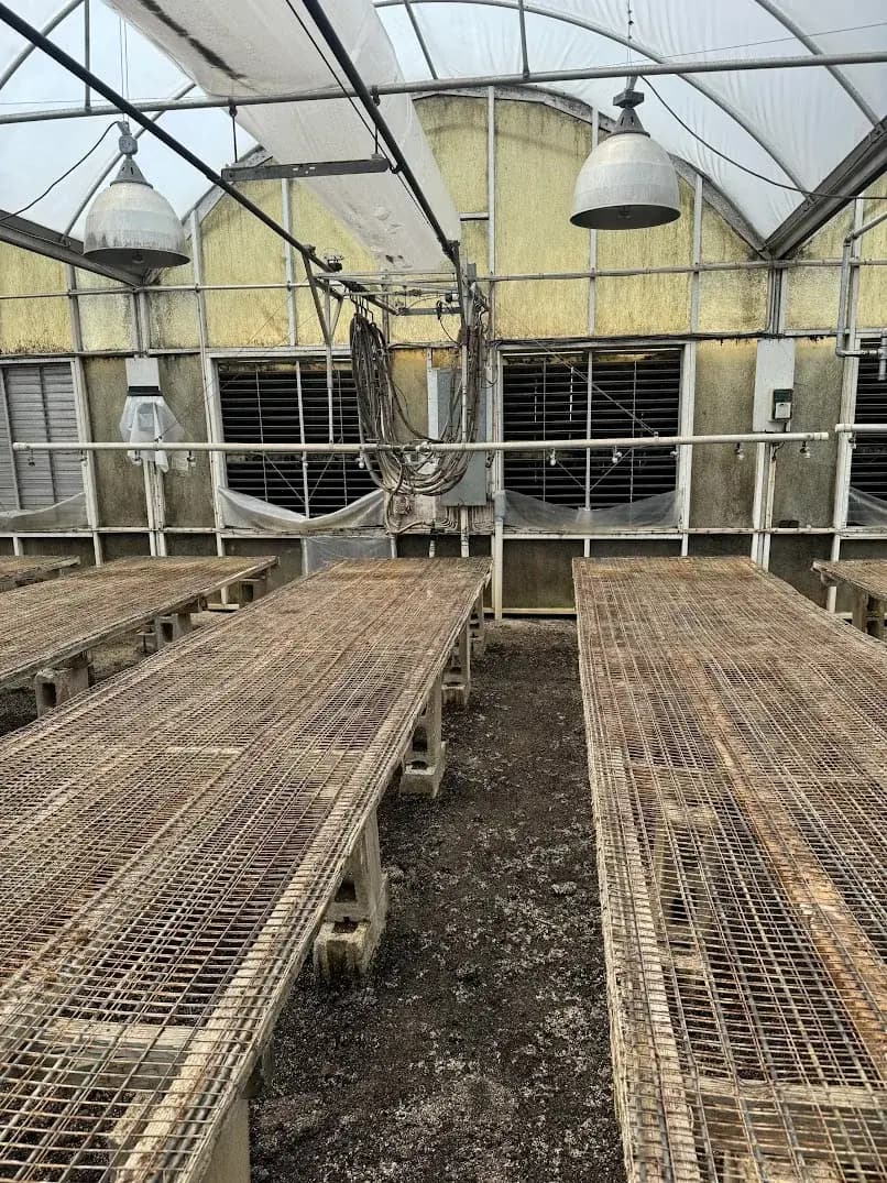 WHITES AUCTION LOT 119 - 17' Double Rail Watering Boom with Cherry Creek Systems Controller in Greenhouse #22 Starting Area Bay 2