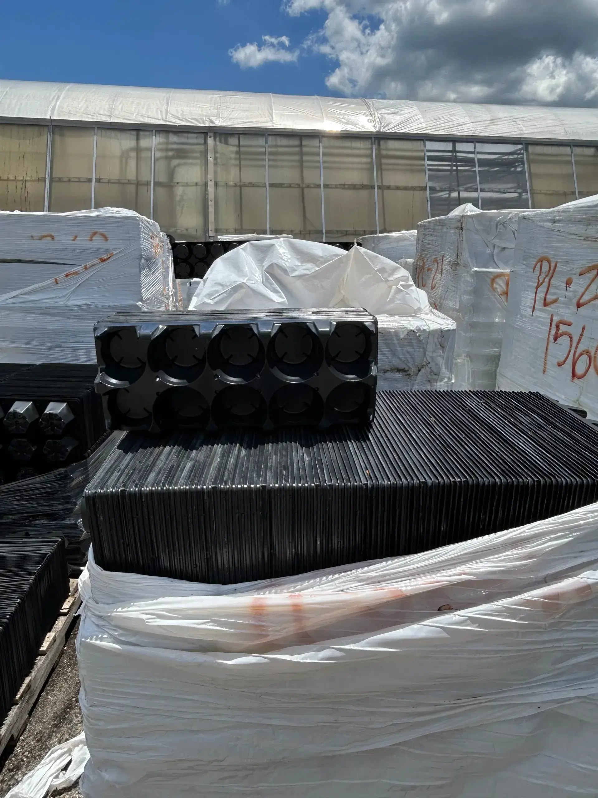 WHITE'S AUCTION LOT 401 - 7 Pallets of Grow Trays Holding Ten 4-Inch Pots Each