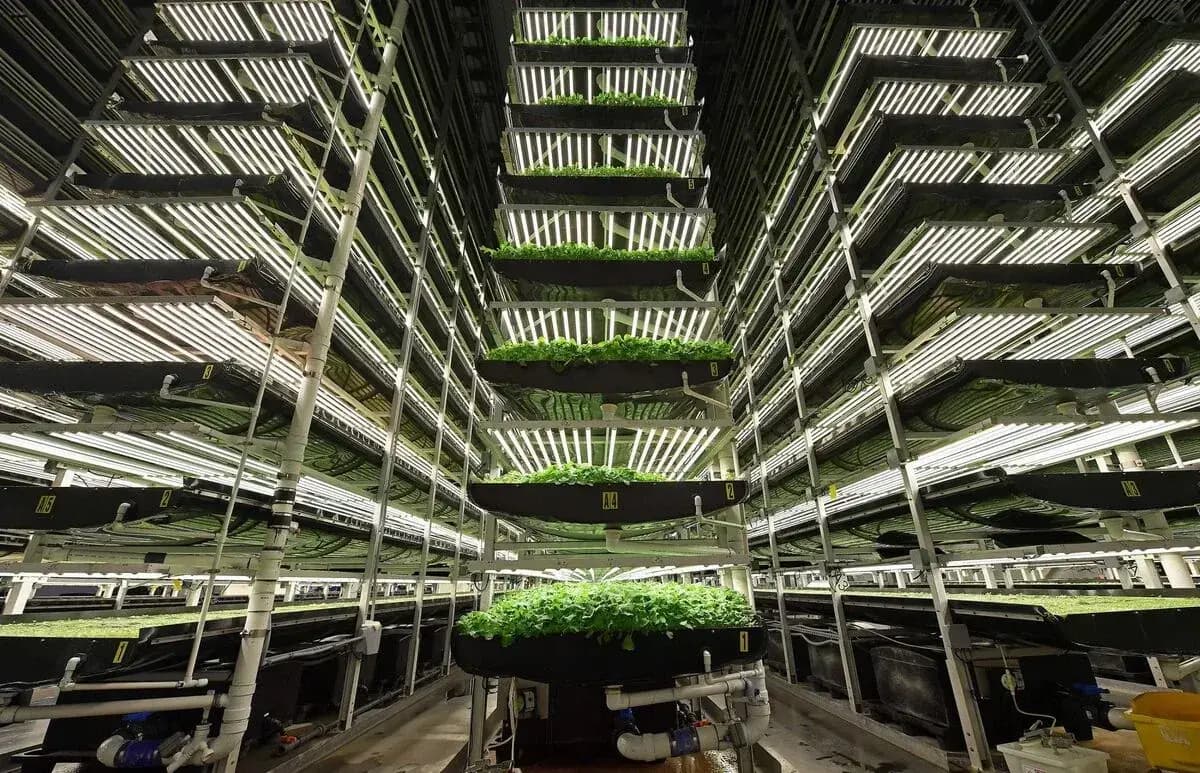 Complete Turn-Key Vertical Farm Solution: 48,000 sq. ft. Cultivation Space