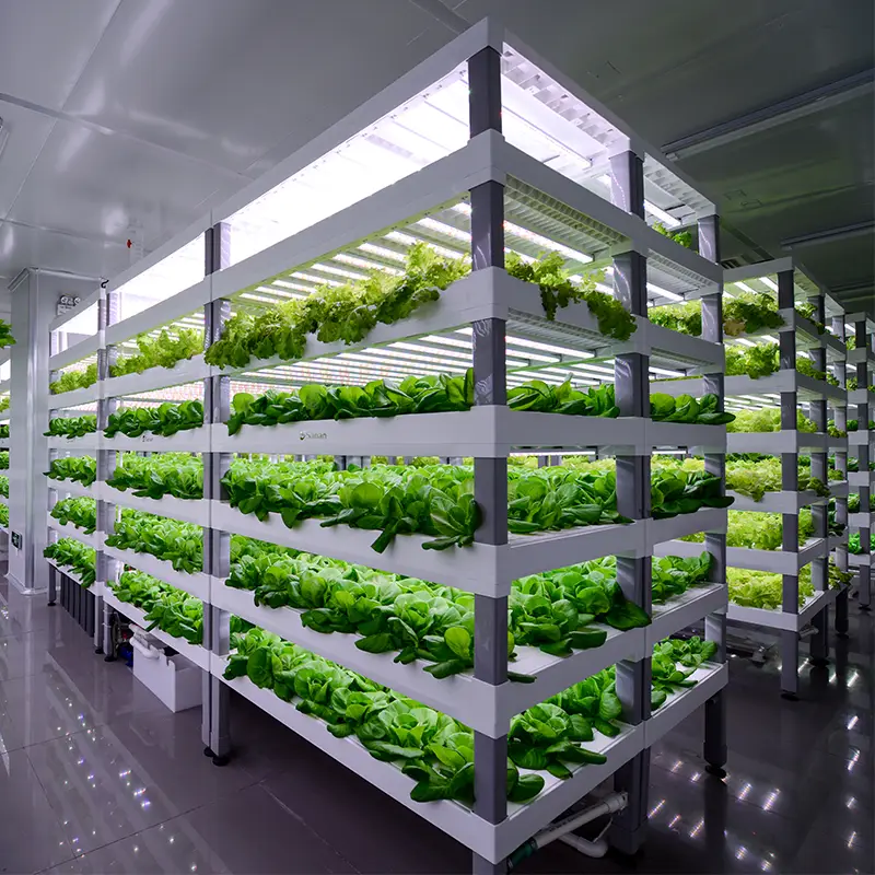 Hydroponic Vertical Grow Rack System (4-Tier)