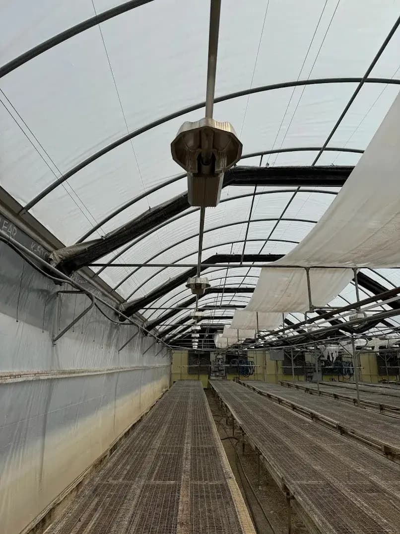 WHITE'S AUCTION LOT 97 - Lot of 25 PL Light Systems 400-Watt HPS Lights - Located in Greenhouse 23 Starting Area