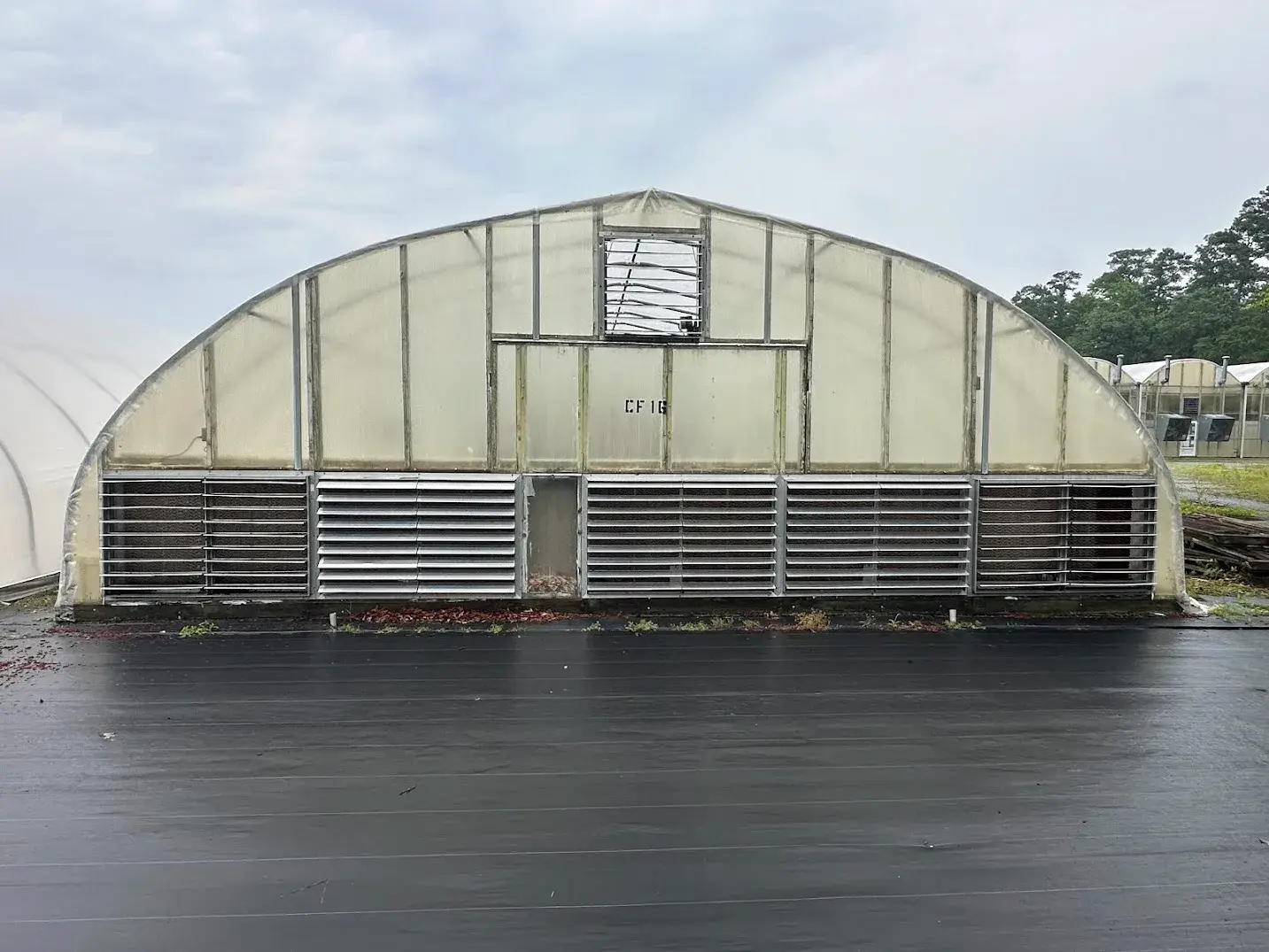 WHITE'S AUCTION LOT 31 - CF16 - X.S. Smith 30' x 96' Criterion Quonset Hoop Cold Frame Greenhouse