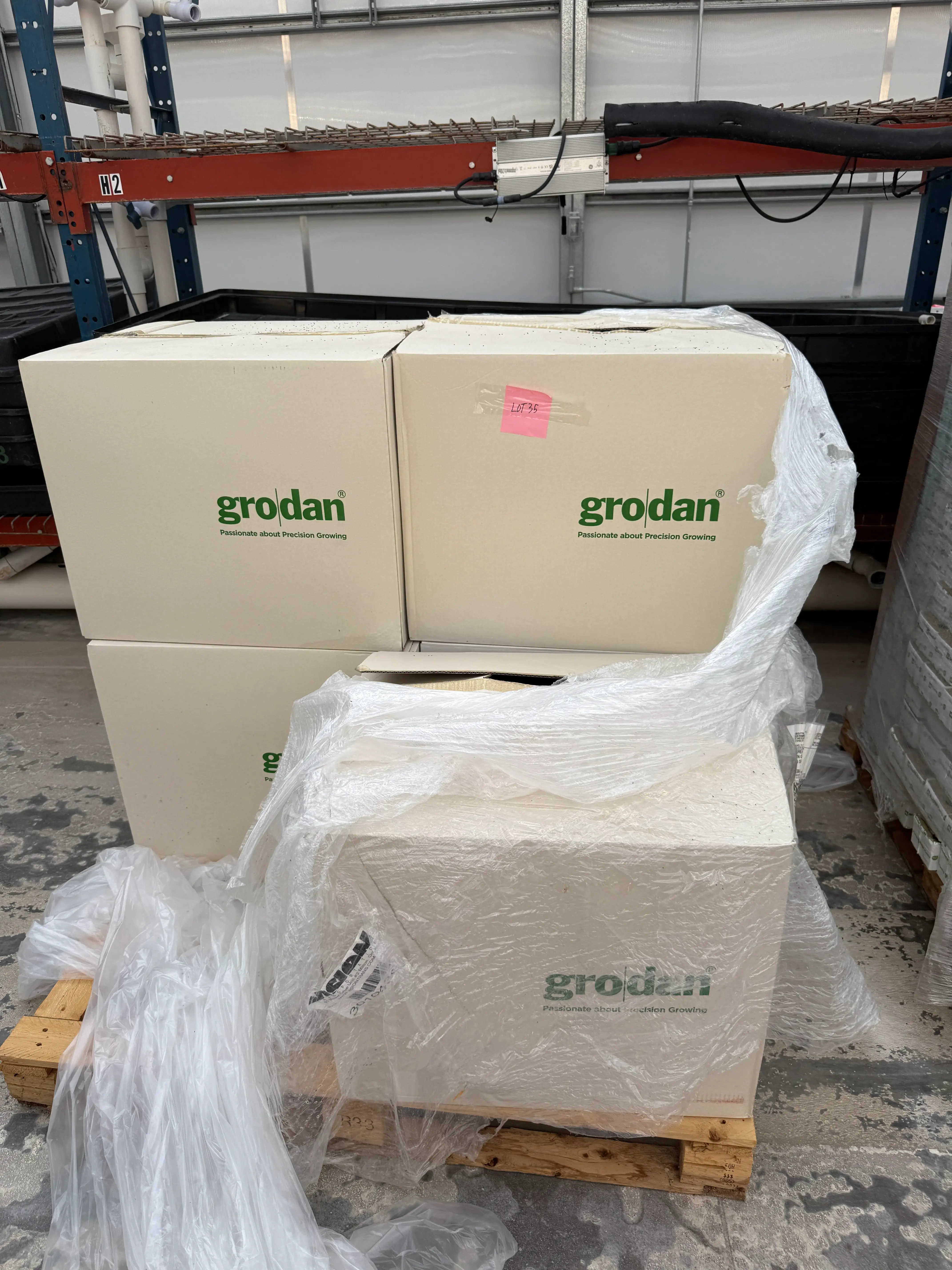 Grodan AO Propagation Plugs – 9,700 Units (5 Cartons)