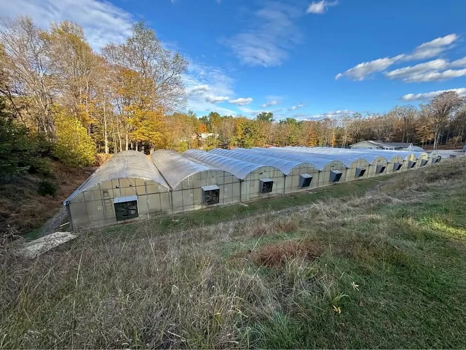 11 Connected Greenhouses – Quonset Style, Used / Good Condition | Irwin, PA