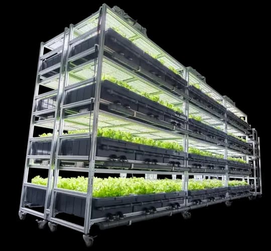 3x AEssense Grows Aetrium 2.1 Vertical Cloning Smart Farm (48 Tray version)