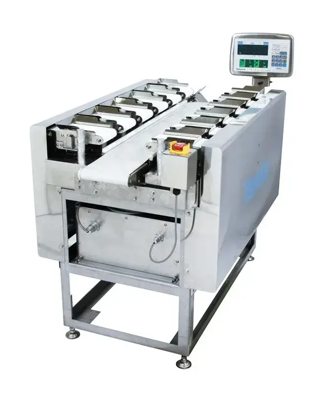 TSDW 205 Semi-automatic Table-top Dataweigh: Used Precision Food Weighing System in New Jersey