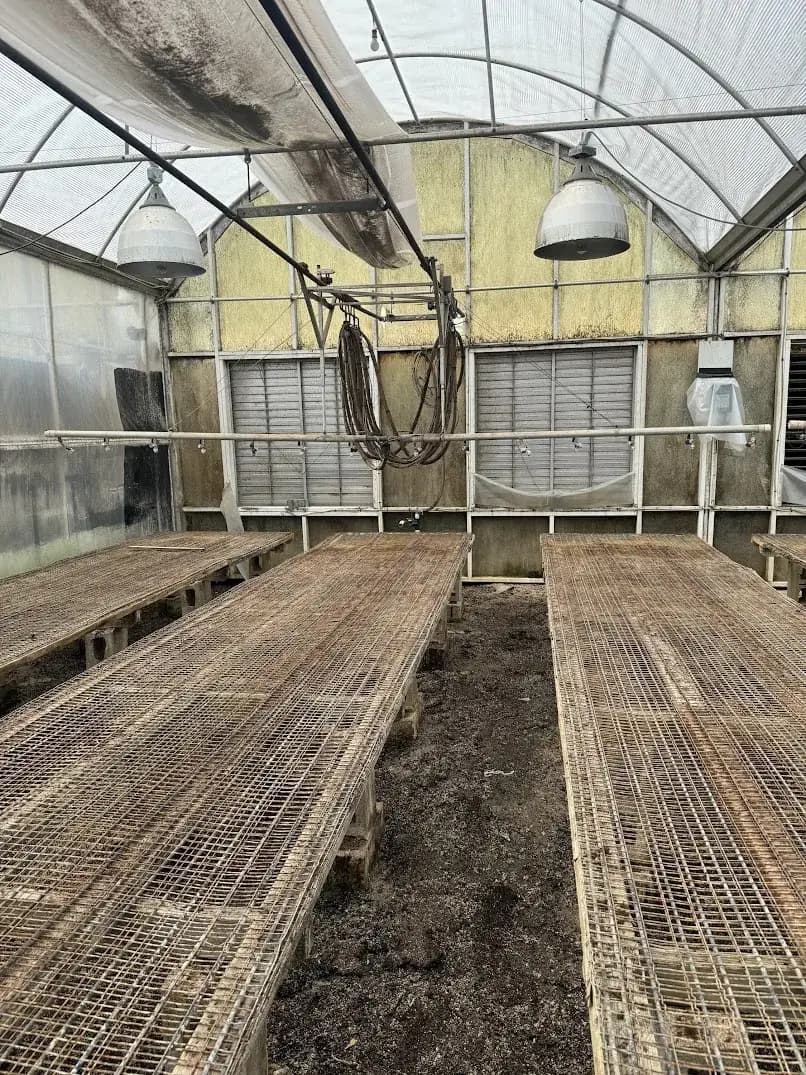 WHITES AUCTION LOT 118 - Greenhouse Technology Inc. Boom System Controller with 17' Boom in Greenhouse #22 Starting Area Bay 1