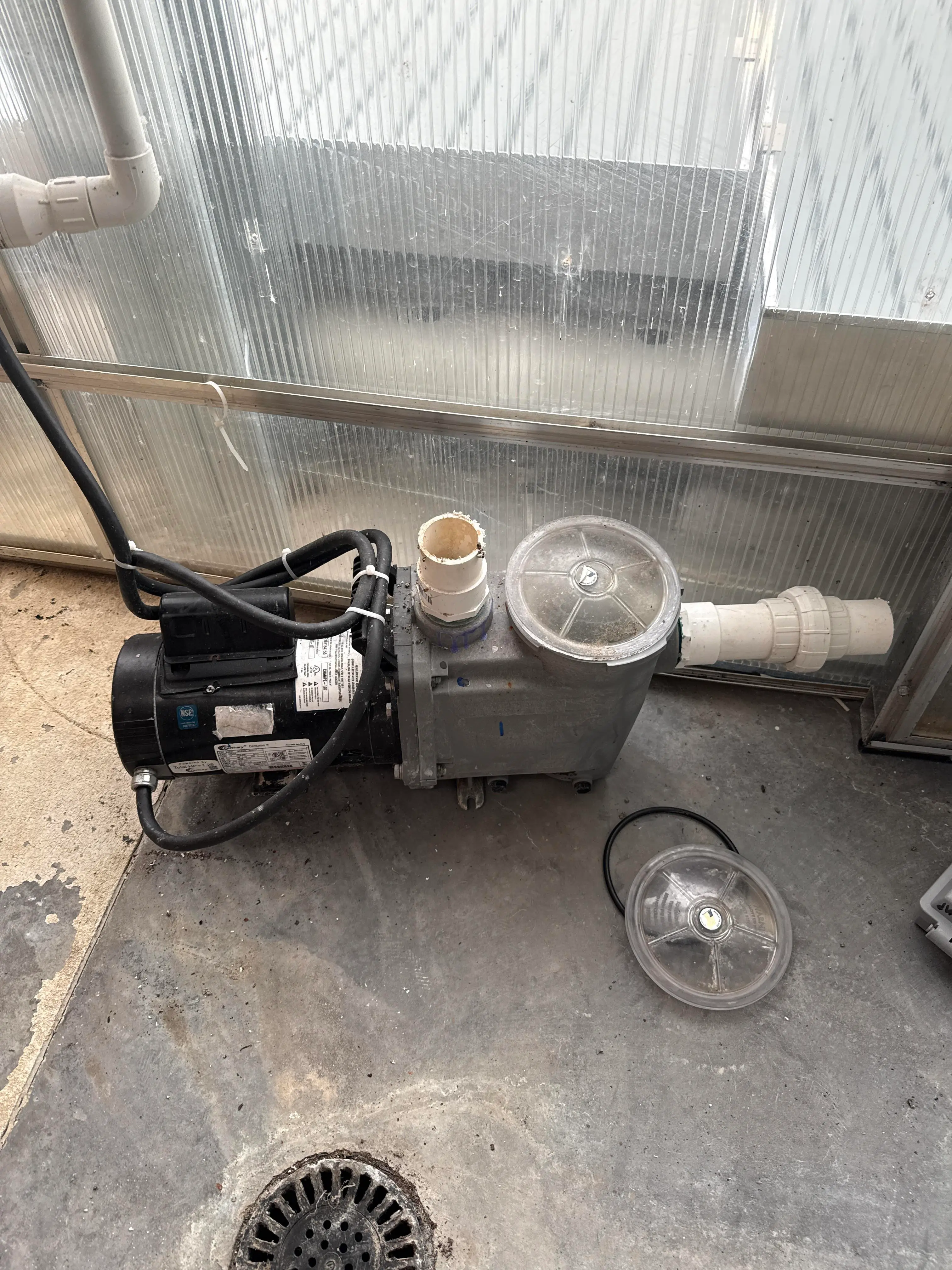 Commercial Circulation Pump – 1.25 HP Century Centurion Motor – 208–230V