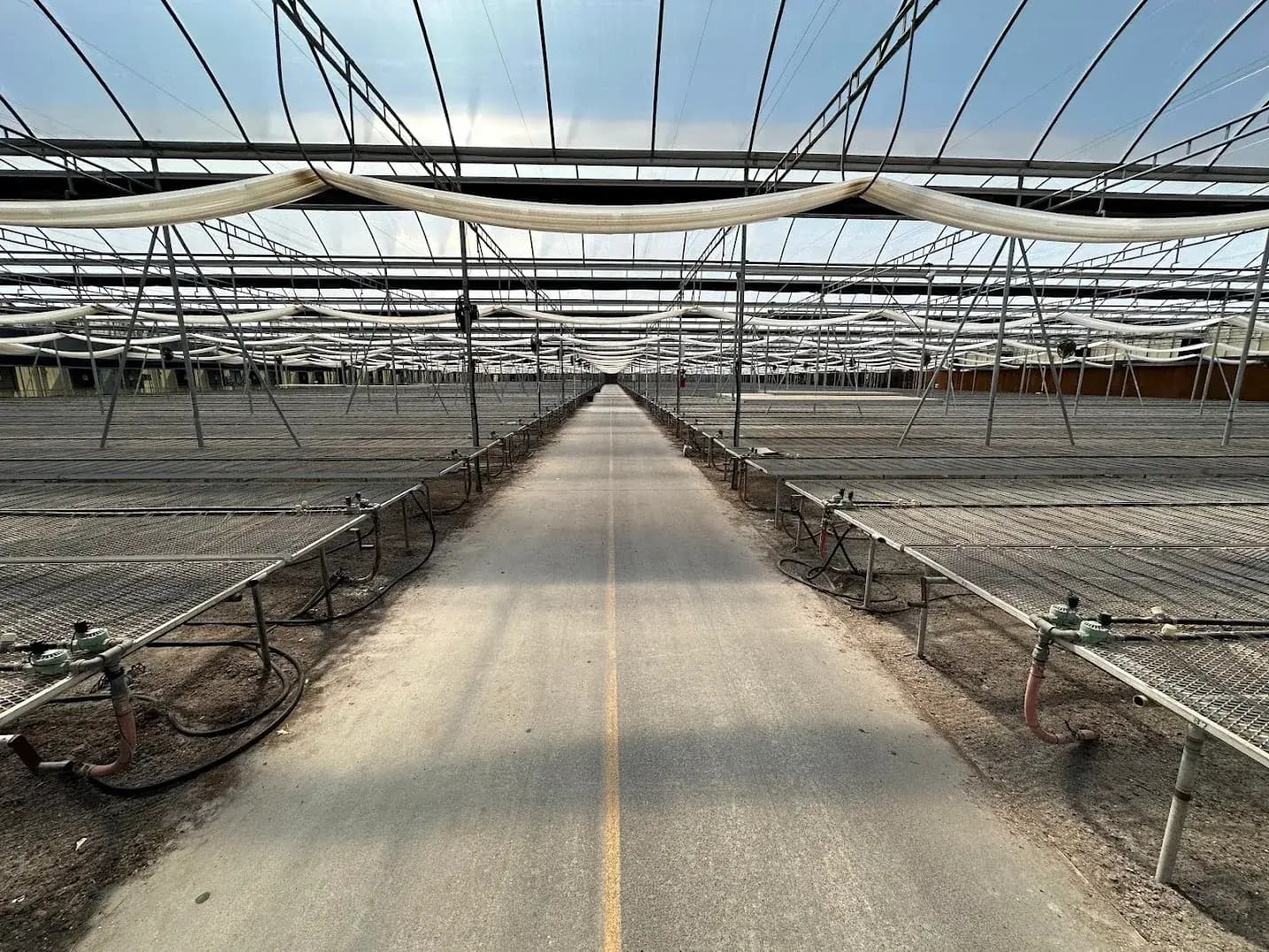 WHITE'S AUCTION LOT 210 - Bays 13-17 of Greenhouse #25 - 20,160 sq. ft. with Double-Poly Roof