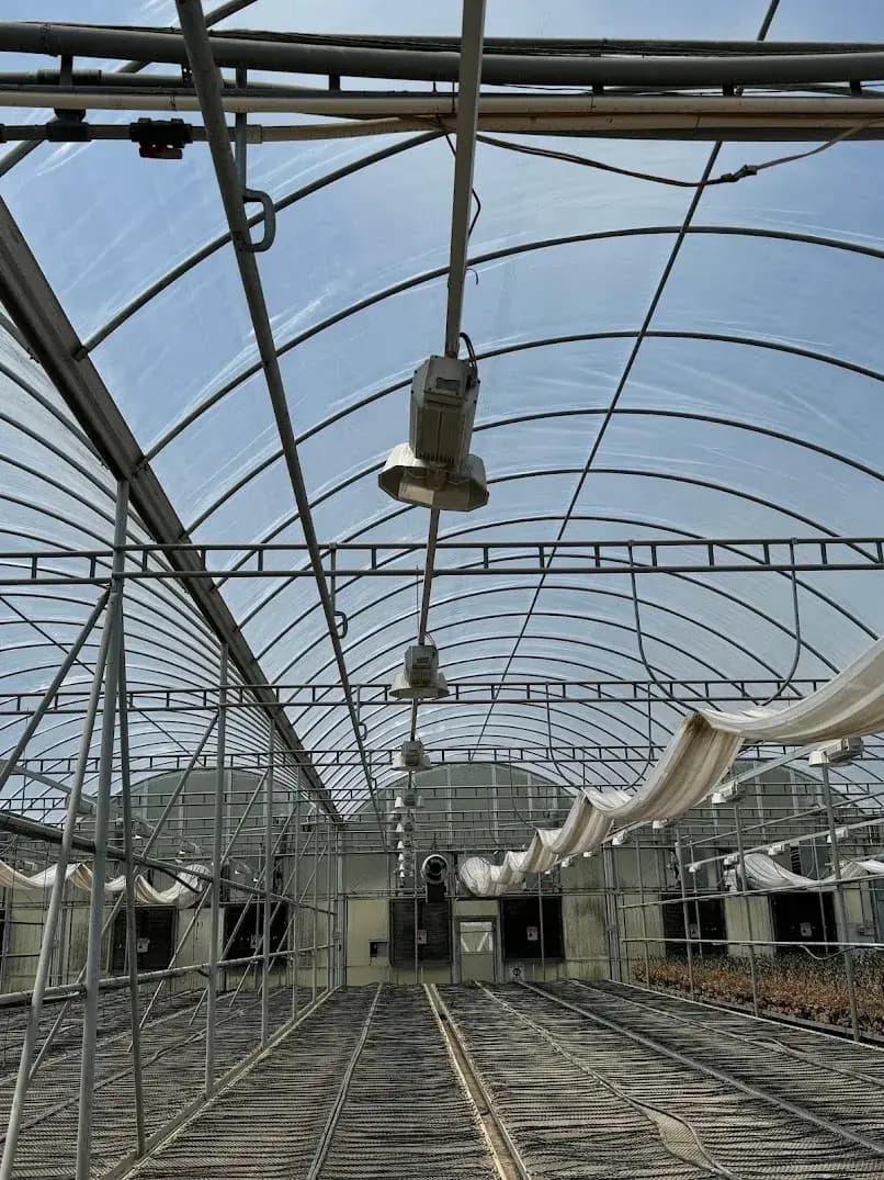 WHITE'S AUCTION LOT 81 - Lot of 25 HID 400-Watt Grow Lights