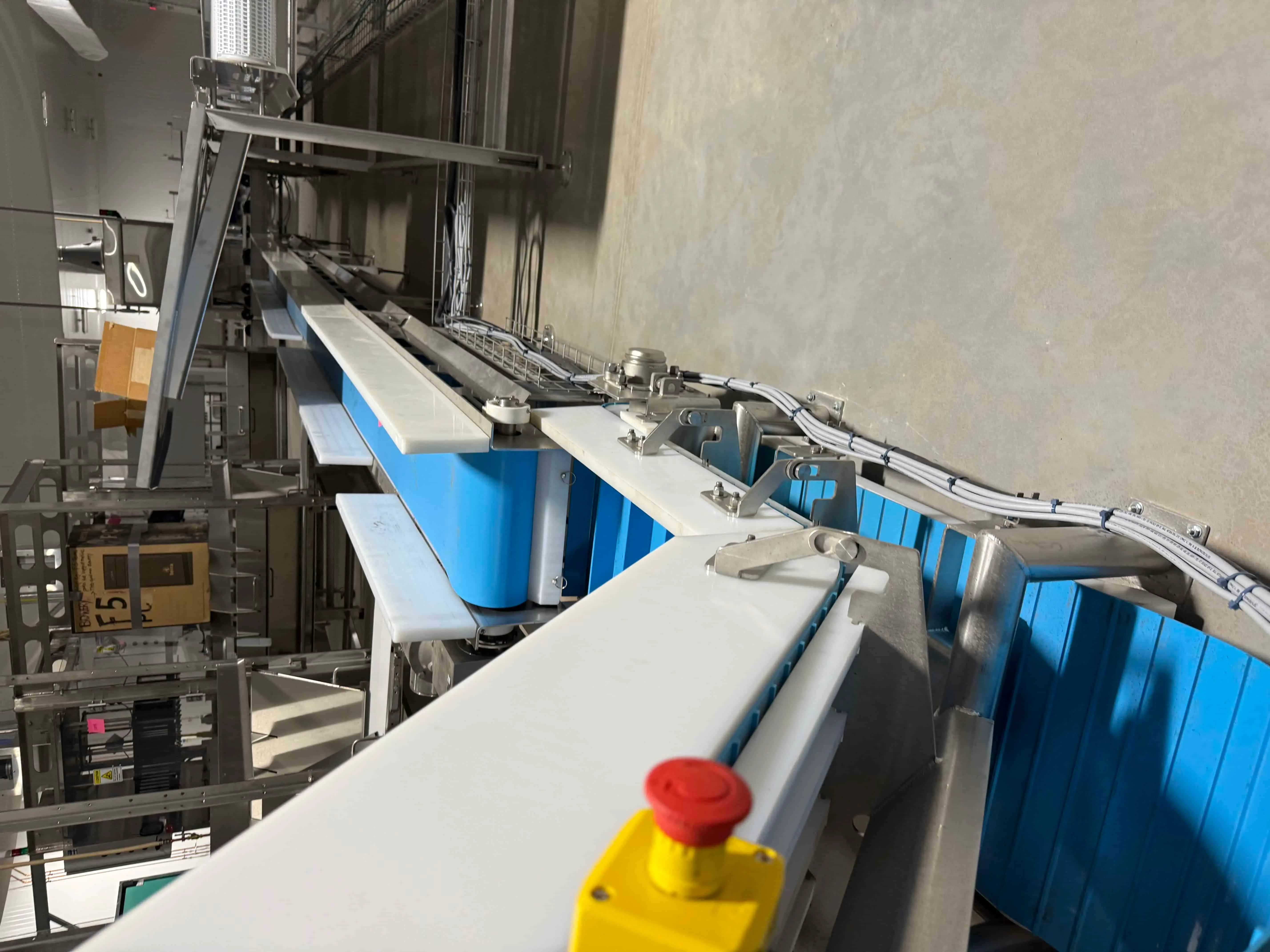SB49: Stainless Food-Grade Conveyor System with Blue Modular Belt, Incline Feed Section, and Safety E-Stop – Wash-Down Rated for CEA or Food Processing