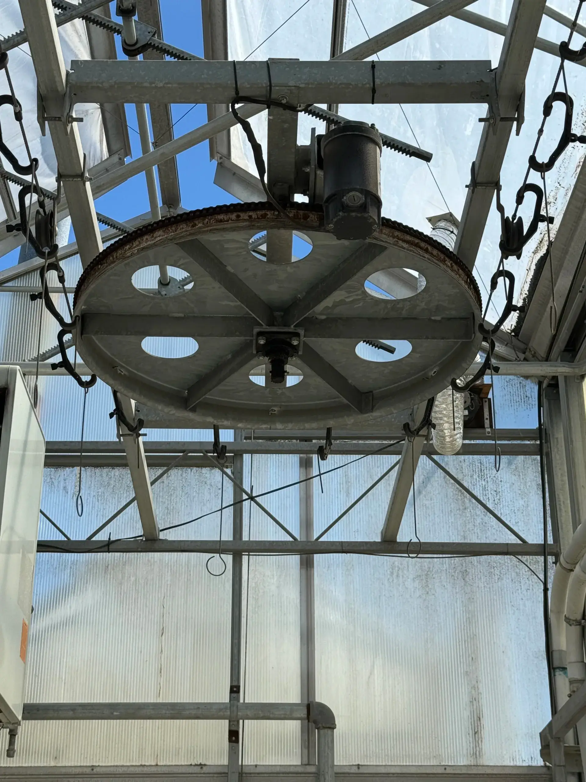 WHITE'S AUCTION LOT 252 - Cherry Creek Echo Hanging Basket Lines, GH#27 Bay 2