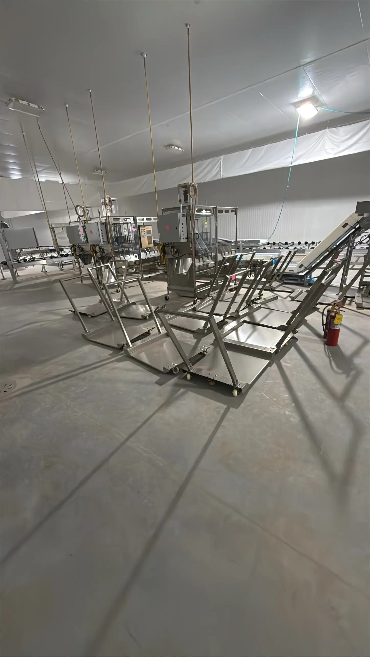 SB50:Industrial Stainless Steel Conveyor Line with Weighing Stations