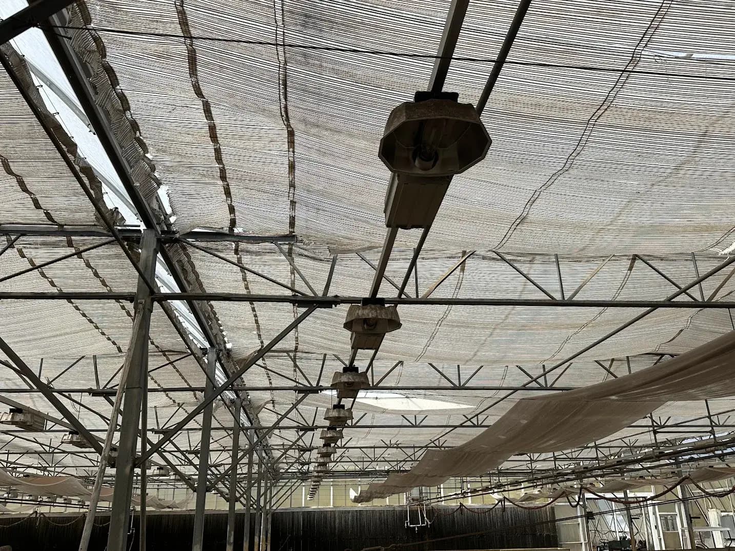 WHITE'S AUCTION LOT 89 - Lot of 25 400-Watt HPS Lights Located in Greenhouse 25 Starting Area