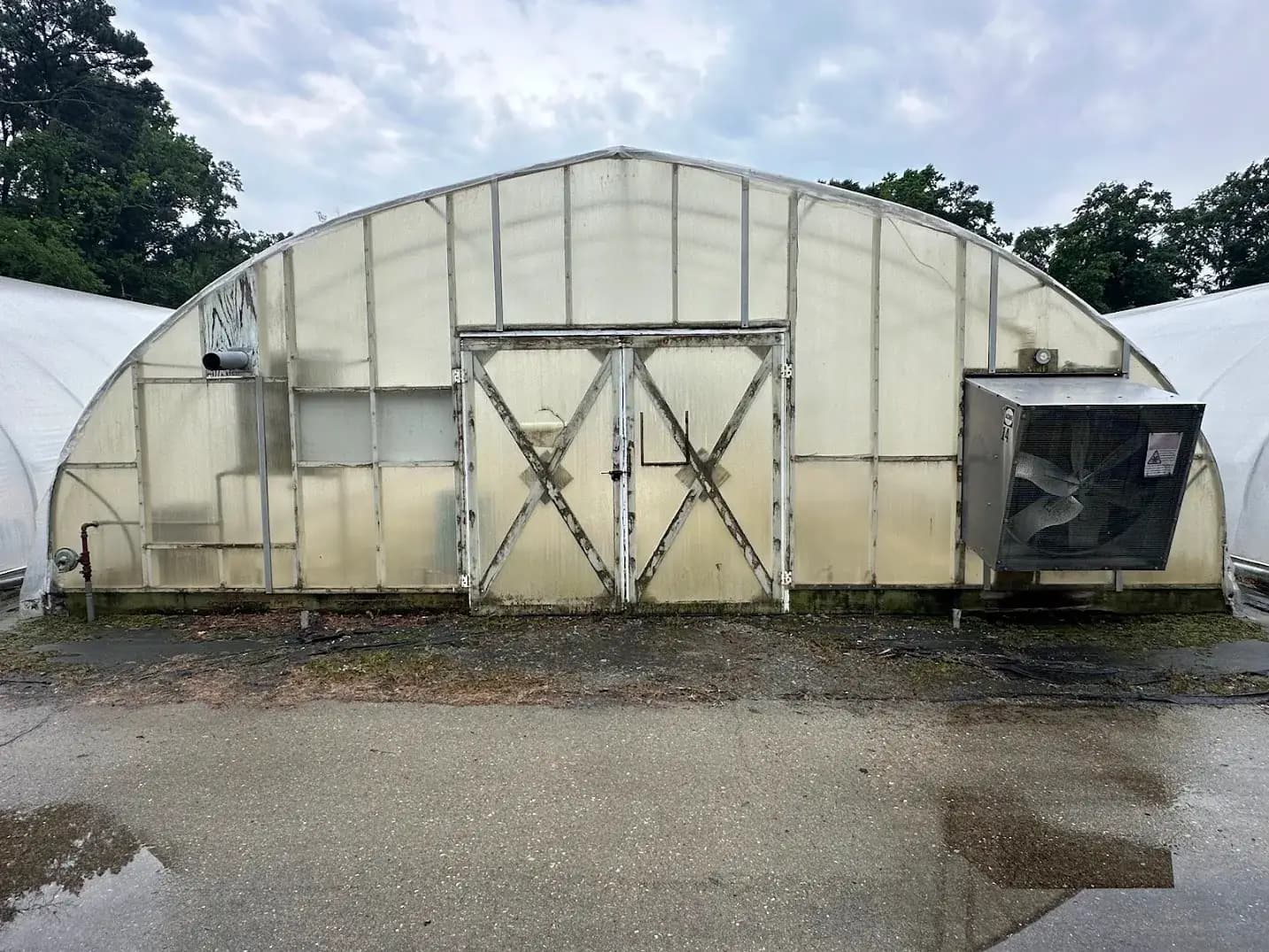 WHITE'S AUCTION LOT 29 - CF14 - X.S. Smith 30' x 96' Criterion Quonset Hoop Cold Frame Greenhouse