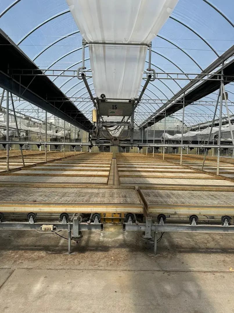 WHITE'S AUCTION LOT 209 - Bays 7-11 of Greenhouse #25 - 20,160 sq. ft. with Double-Poly Roof
