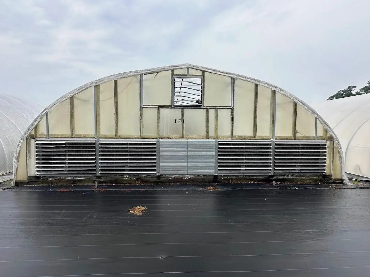 WHITE'S AUCTION LOT 16 - CF01 - X.S. Smith 30' x 96' Criterion Quonset Hoop Cold Frame Greenhouse