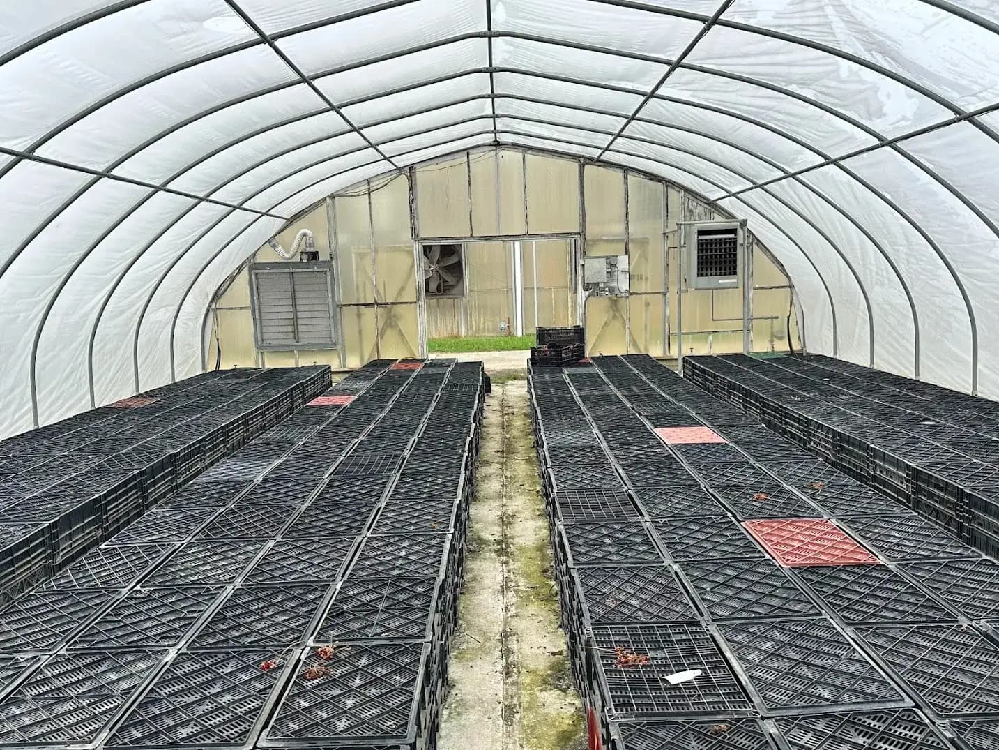 WHITE'S AUCTION LOT 25 - CF10 - X.S. Smith 30' x 96' Criterion Quonset Hoop Cold Frame Greenhouse