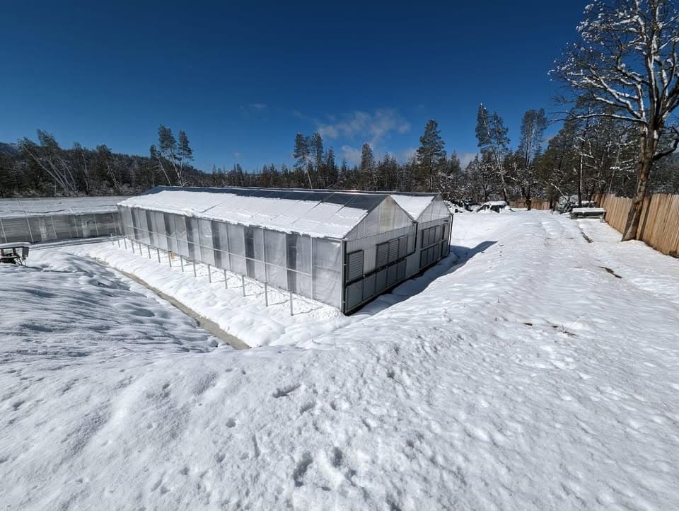 Brand New Gutter Connect Greenhouses — Double 60x120