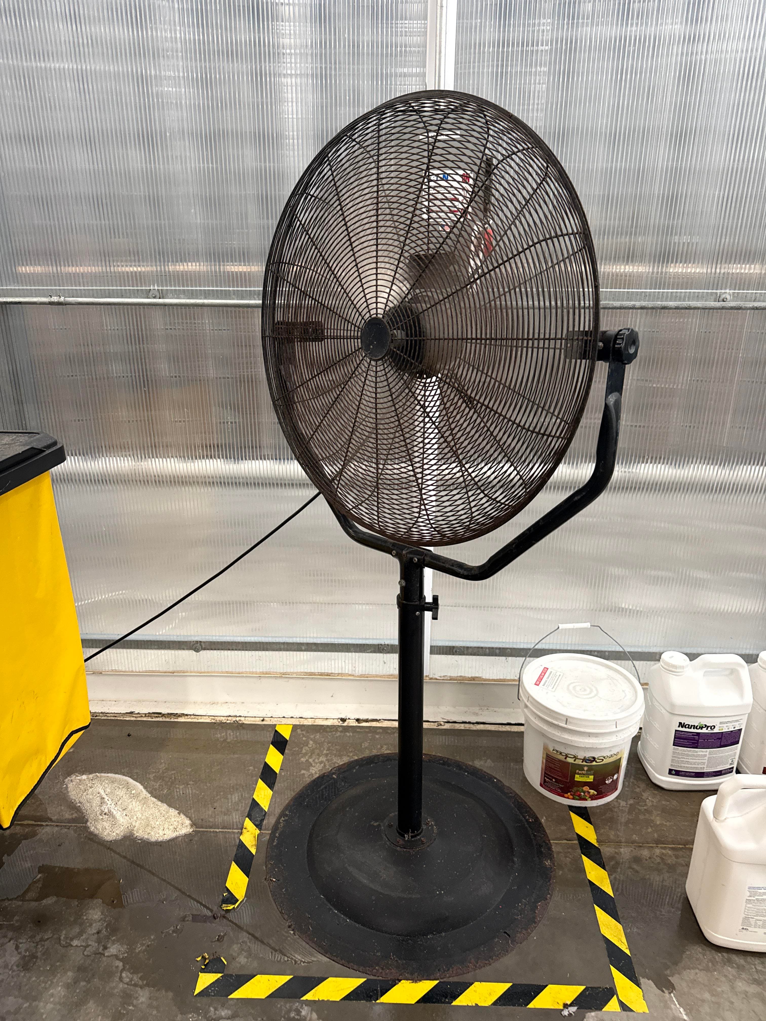 Industrial Pedestal Circulation Fan on Weighted Base